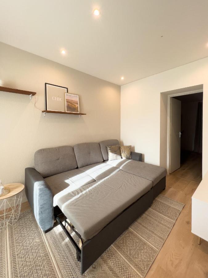 Appart'Hotel Le Tilleul - Netflix, Jardin Et Fibre Optique Belfort Buitenkant foto