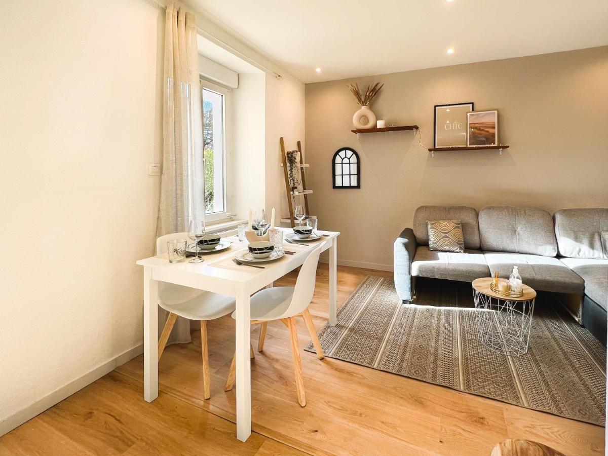 Appart'Hotel Le Tilleul - Netflix, Jardin Et Fibre Optique Belfort Buitenkant foto